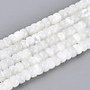 Natural Trochid Shell/Trochus Shell Beads Strands BSHE-T014-54A-1