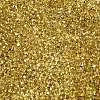Baking Paint Transparent Glass Seed Beads X-SEED-N006-05C-3
