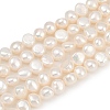 Natural Cultured Freshwater Pearl Beads Strands PEAR-P064-20A-06A-2