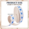 10Yards Vintage Jacquard Polyester Ribbon OCOR-ME0001-79A-2