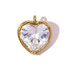 304 Stainless Steel Micro Pave Cubic Zirconia Pendants STAS-OY007-52G-1