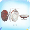 Natural Paua Shell Display Decorations DJEW-WH0042-148A-2