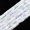 Natural Freshwater Shell Beads Strands SHEL-N034-29A-01-1