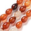 Natural Red Agate Beads Strands G-B106-A22-02-2