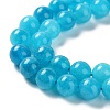 Dyed Natural Malaysia Jade Beads Strands G-G021-02B-02-4