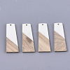 Resin & Walnut Wood Pendants RESI-S358-83H-1