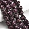 Natural Lepidolite/Purple Mica Stone Beads Strands G-H335-B03-14mm-A-1