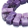 Natural Lepidolite/Purple Mica Stone Beads Strands G-K245-F01-01-3