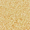 MIYUKI Delica Beads X-SEED-J020-DB2371-2
