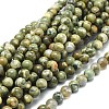 Natural Rhyolite Jasper Beads Strands G-F674-03A-6mm-1