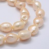 Natural Cultured Freshwater Pearl Beads Strands PEAR-K004-05A-01-3