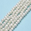 Natural Cultured Freshwater Pearl Beads Strands PEAR-F018-16A-01-2