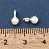 925 Sterling Silver Charms STER-H119-05B-S-3