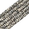 Natural Dalmatian Jasper Beads Strands G-L654-I01-01-2