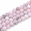 Natural Plum Blossom Jasper Beads Strands G-T106-276-1