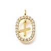 Brass Micro Pave Cubic Zirconia Pendants ZIRC-P123-01G-X01-1