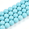 Synthetic Turquoise Beads Strands G-A255-A04-03B-4