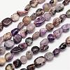 Natural Charoite Bead Strands G-L459-02-1