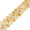 Natural Citrine Beads Strands G-N342-10-1