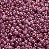 TOHO 6/0 Round Beads SEED-XTR06-1202-4
