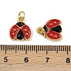 Brass Enamel Charms KK-I358-012G-3