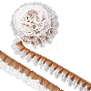Polyester Lice Trim Ribbons SRIB-WH20020-054C-6