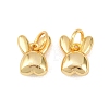 925 Sterling Silver Charms STER-I024-02G-1