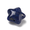 Natural Lapis Lazuli Beads G-T149-01F-2