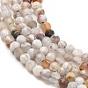 Natural Mexican Lace Agate Beads Strands G-E608-A11-A-3