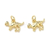 Brass Micro Pave Clear Cubic Zirconia Charms KK-T085-21C-G-1