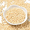 Baking Paint Glass Seed Beads X1-SEED-B001-02A-09-2