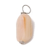 Natural Seashell Nuggets Charms PALLOY-JF02841-3