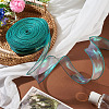 Polyester Lace Trim DIY-TAC0010-49C-5