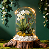 Arch Glass Dome Cover AJEW-WH0481-569B-4