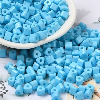 Baking Painted Glass Bead SEED-H002-K-D303-1