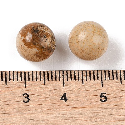 Natural Picture Jasper No Hole Sphere Beads G-K353-04A-15-1