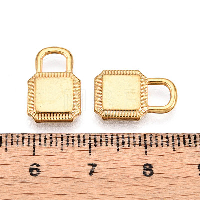 304 Stainless Steel Charms STAS-N109-115G-1