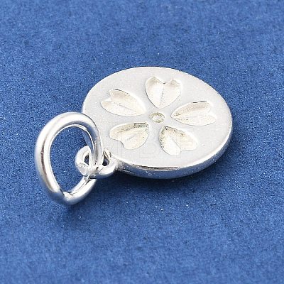 925 Sterling Silver Charms STER-S009-12D-S-1