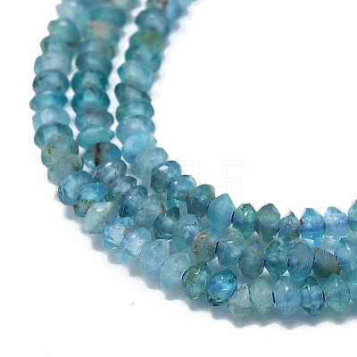 Natural Apatite Beads Strands G-G106-B02-01-1