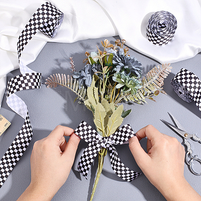 Polyester Ribbon OCOR-WH0109-113-1