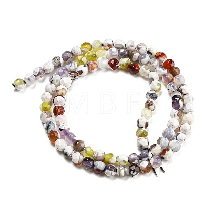 Dyed Natural Fire Crackle Agate Beads Strands G-G007-01D-1