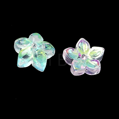 Dyed & Heated Glass Bead Caps GLAA-Z019-02B-1