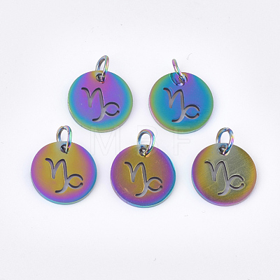 Rainbow Color Ion Plating(IP) 201 Stainless Steel Charms STAS-Q201-JN166-10-1