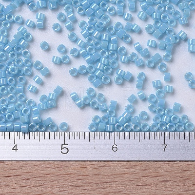 MIYUKI Delica Beads SEED-J020-DB0215-1