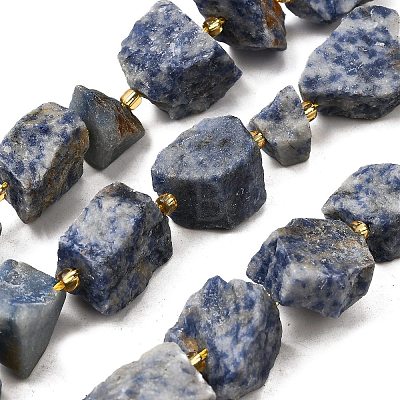 Raw Rough Natural Blue Spot Jasper Beads Strands G-Z087-B01-1
