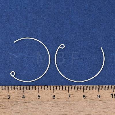 Brass Earring Hooks KK-C069-01S-1