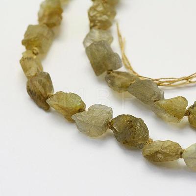 Natural Labradorite Beads Strands G-K202-11C-1