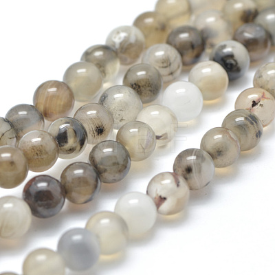Natural Dendritic Agate Beads Strands X-G-D845-04-8mm-1