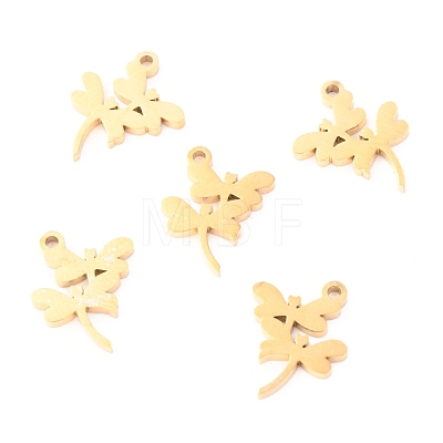 304 Stainless Steel Charms STAS-O142-61G-1