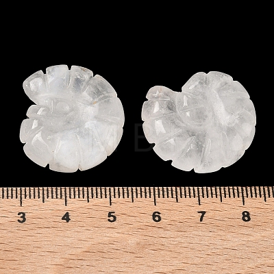 Natural Quartz Crystal Conch Display Decorations DJEW-D303-01E-1